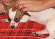 Фотография Токмаковой Анютки