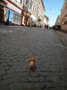 Іра Капітонова фотография #20 (источник - https://vk.com/id386275)