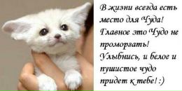 Фотография Лозовский Евгений