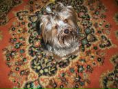 Фотография Горбуновой Екатерины