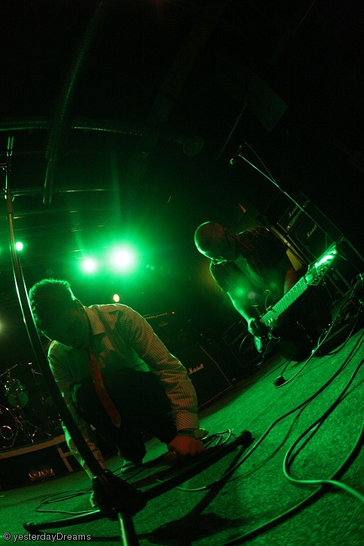 Swift Feed фотография #37