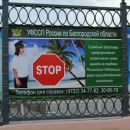 Фотография Карташевой Светланы