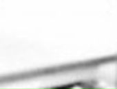 Oleg Savjuk фотография #1