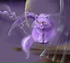 Фотография Аликума Вита