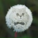 Фотография Созиновой Лерки