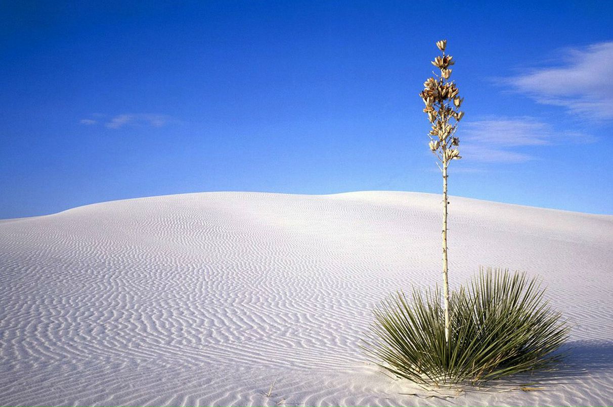 Дмитрий Пуронен фотография #41