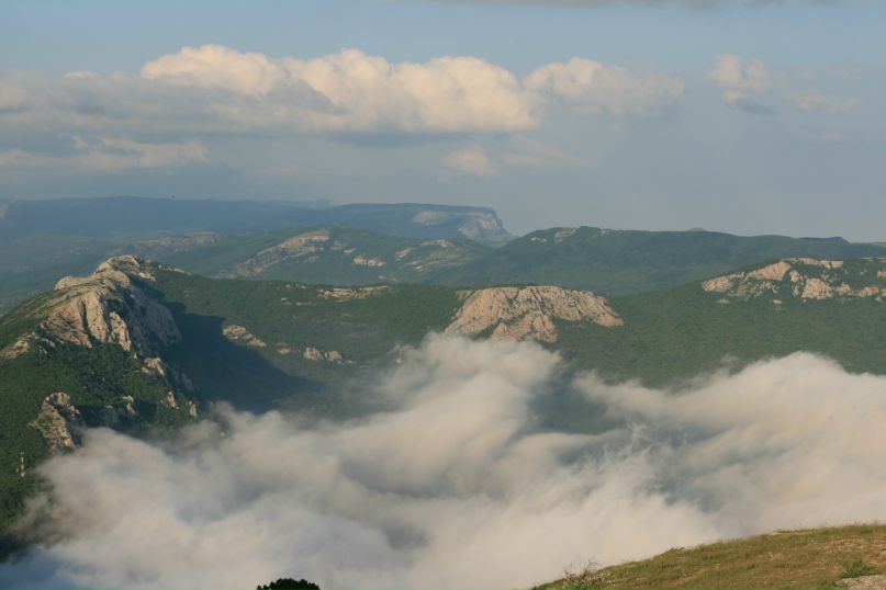 Антон Ластенко фотография #26