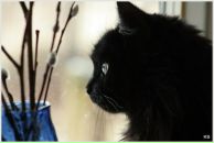 Фотография Мачуевой Киры