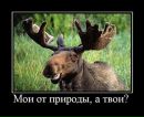 Сергій Бахін фотография #18 (источник - https://vk.com/id61228979)