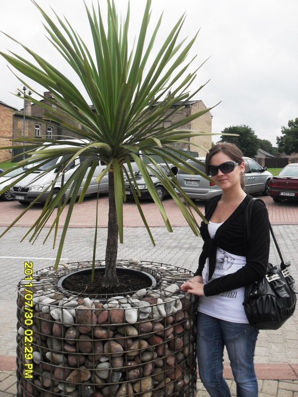 Дима Семенков фотография #28