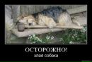 Дмитрий Печерица фотография #23 (источник - https://vk.com/id89636559)