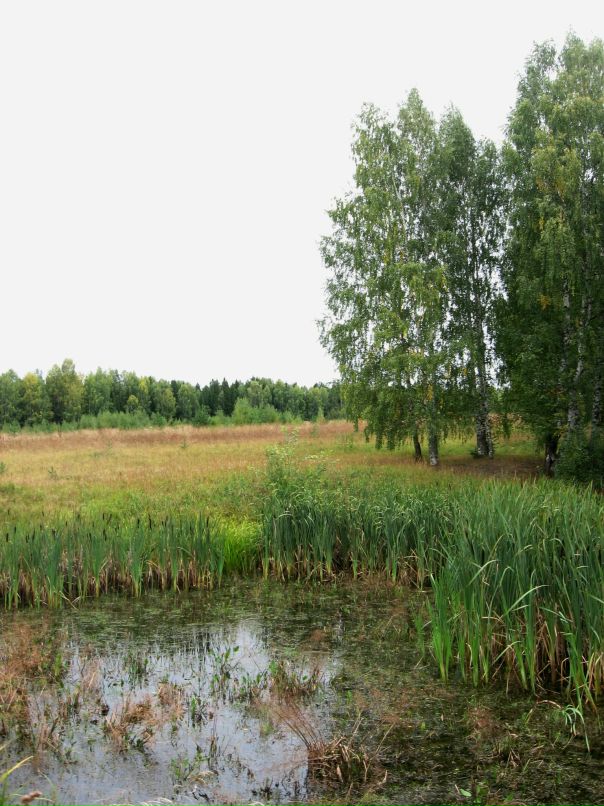 Дарья Дмитриева фотография #43