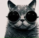 Фотография Приходского Аркадия