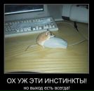 Санек Цыганов фотография #49 (источник - https://vk.com/id114245284)