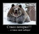 Фотография Андрея Басалаева
