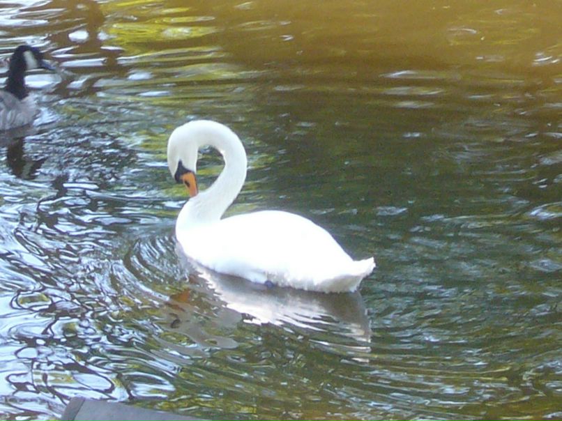 Вован Сергеевич фотография #13