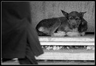 Фотография Ушакова Марка