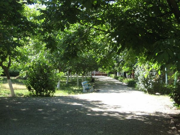 Алла Солнце, фото №12