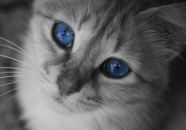 Фотография Кукушкиной Натальи