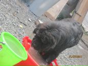 Фотография Зыриной Елены