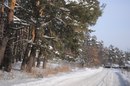Борисфен Укрїнський фотография #12 (источник - https://vk.com/id158641288)