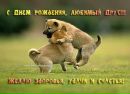 Кася Стаднік фотография #38 (источник - https://vk.com/id145566260)