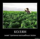 Фотография Лукичева Николая