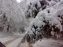 Інна Бурко(ковальська) фотография #25 (источник - https://vk.com/id151079614)