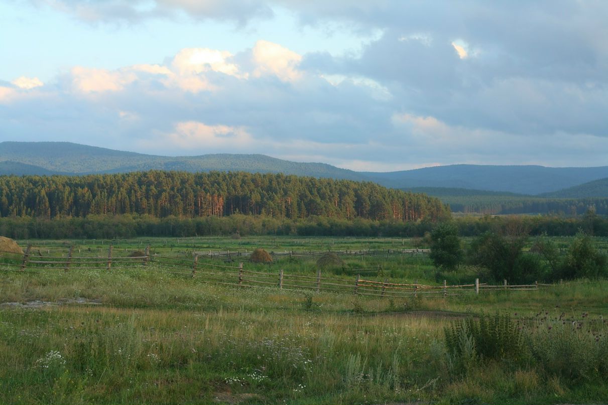 Эльдар Акмалов фотография #11