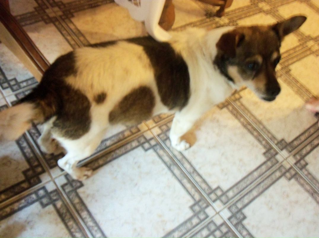 Daniela Pop фотография #42