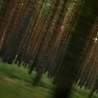 Сергій Левчун фотография #20 (источник - https://vk.com/id150474833)