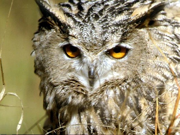 Эдуард Искаков фото №9