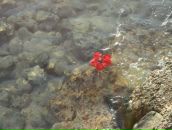 Фотография Платоновой Веры