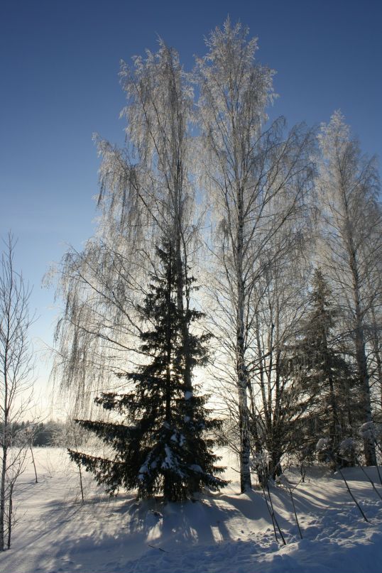 Виктор Сергеев фотография #11