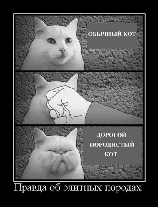 Стас Давыдов фотография #49