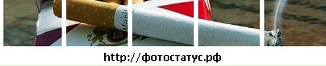 Андрей Сініцин фотография #43 (источник - https://vk.com/id66925469)