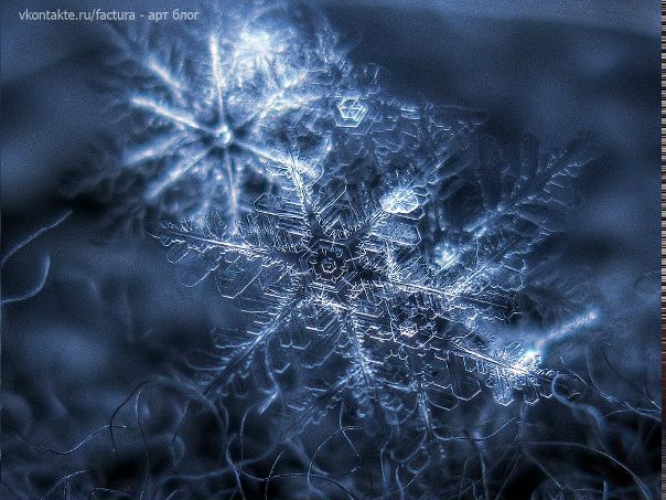 Анна Осминина, Курган, Россия, 