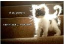 Фотография Натальи Самоед И Косы