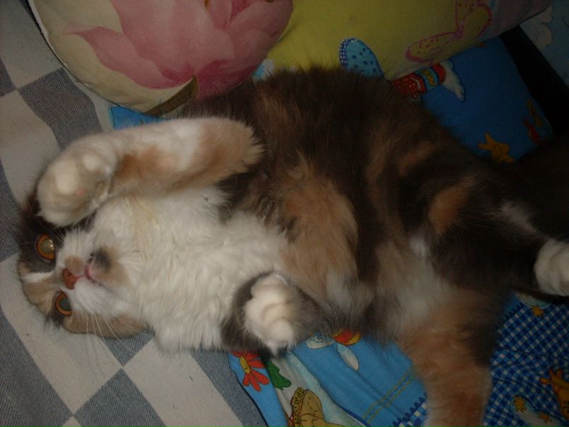 №6, Ангелина Ярославцева №6, Ангелина Ярославцева