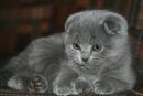Фотография Жуковой Юлии