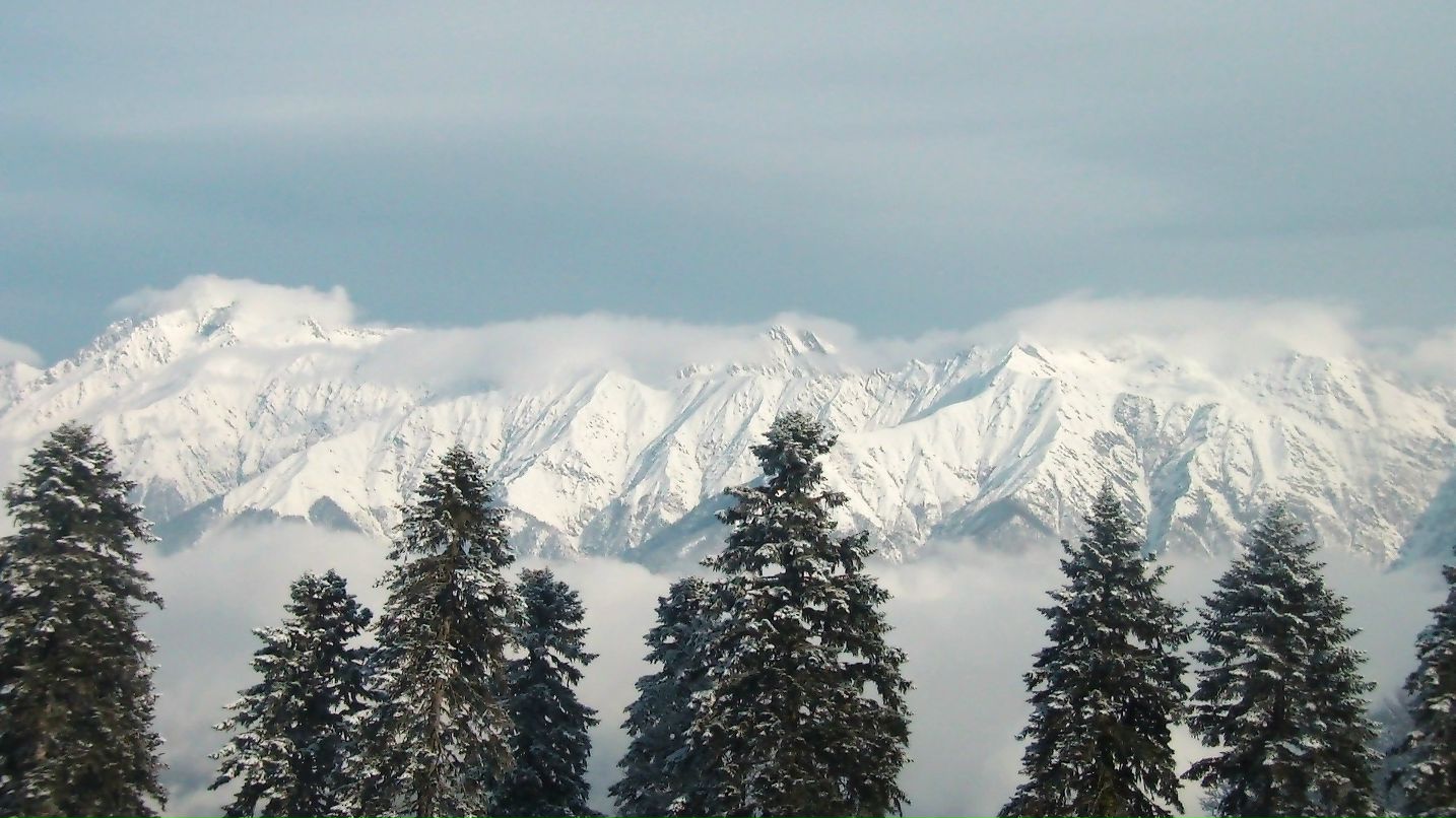 Мария Лета фотография #45