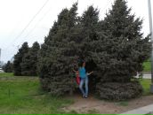 Фотография Орловой Натальи