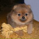 Еріка Еріка фотография #1