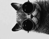 Фотография Maksimov Aleksei