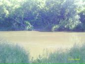 Рустем Лутфуллин фотография #35 (источник - https://vk.com/id8515565)