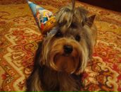 Фотография Морозовой Евгении