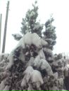 Свєта Гаврилюк фотография #23 (источник - https://vk.com/id132939204)