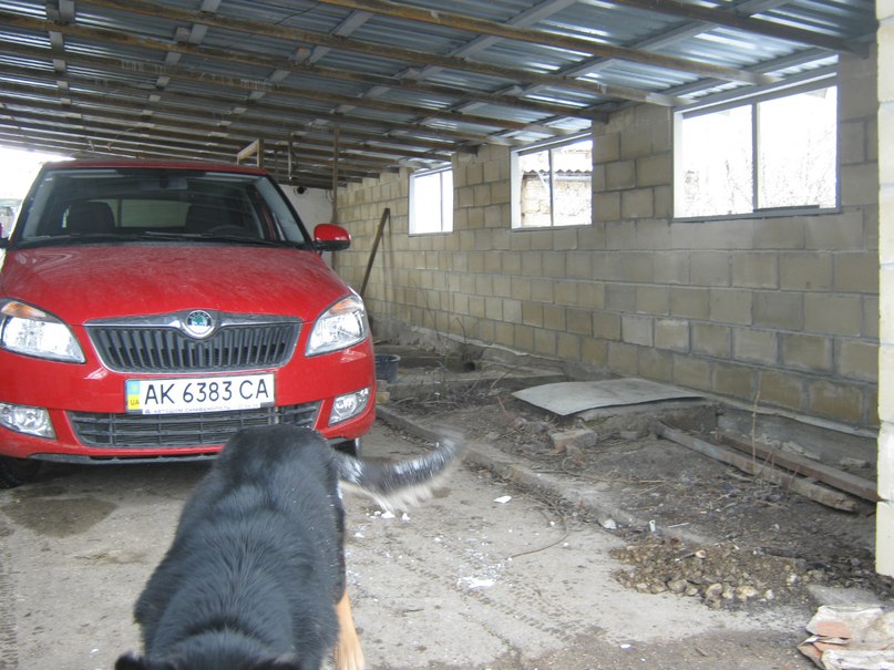 Коля Лихтин фотография #2