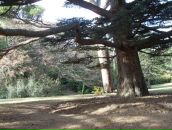 Фотография Никифоровой Виктории