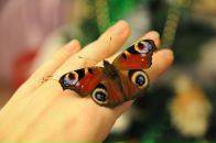 Фотография Бинковской Екатерины